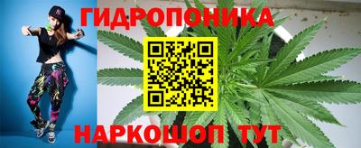спиды Волгодонск