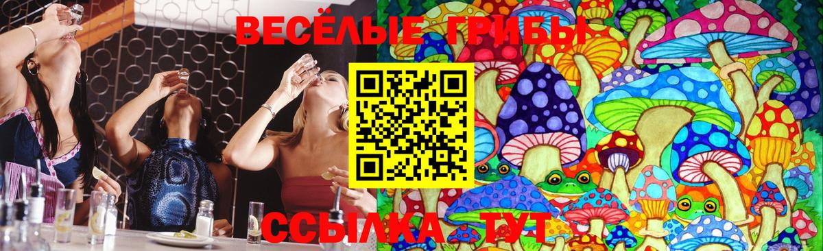 Галлюциногенные грибы Cubensis Губаха