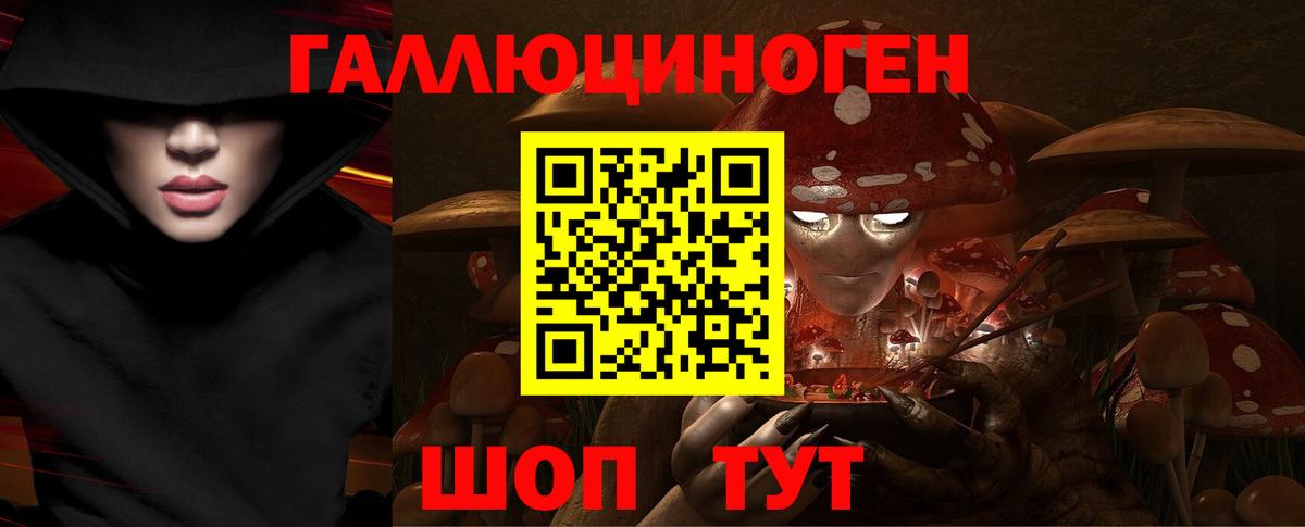 Губаха  Псилоцибиновые грибы прущие грибы  Вход с VPN 