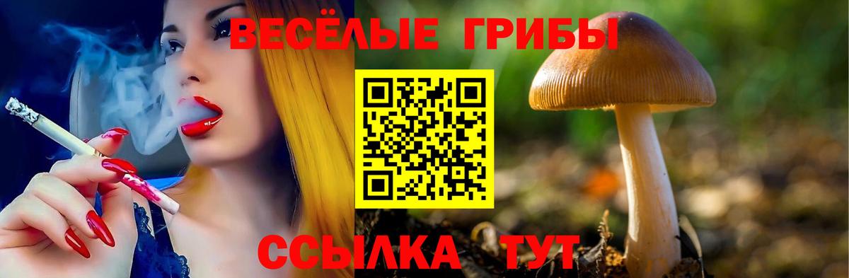 Галлюциногенные грибы GOLDEN TEACHER  Губаха 