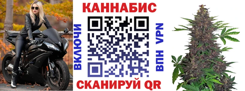 Канабис конопля  Губаха 